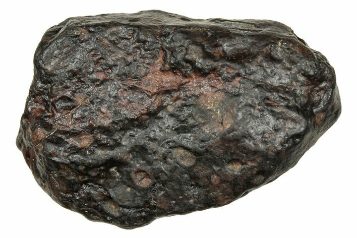 Carbonaceous Chondrite Meteorite ( g) - NWA #334344